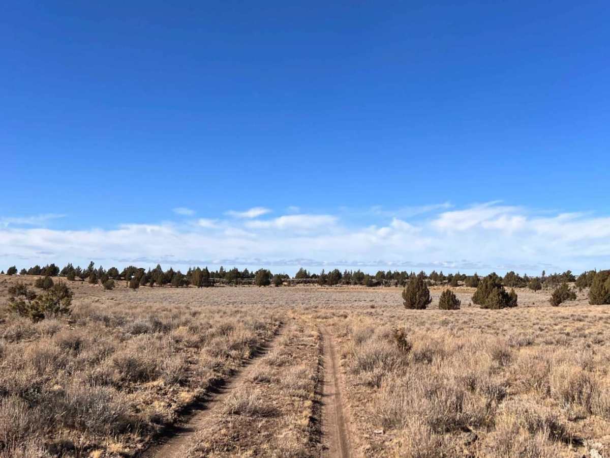 Mustang Tank Trail trail photo