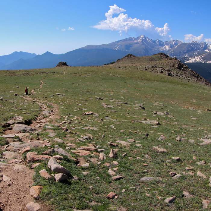 Near Ute Trail