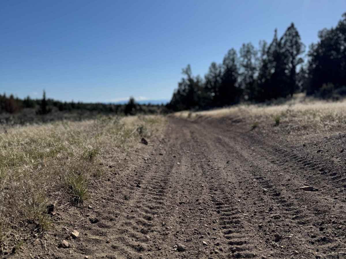 OHV Trail #10 photo 2