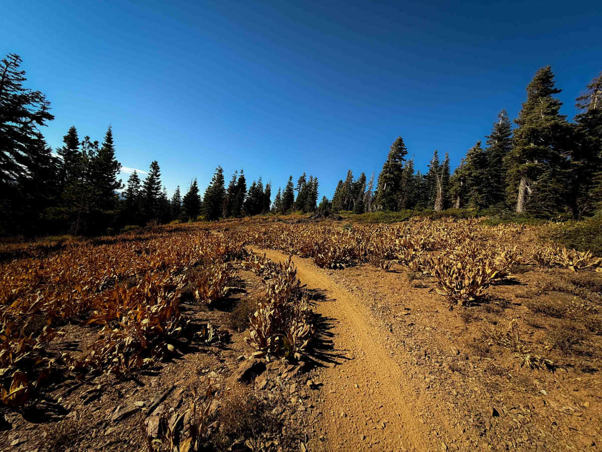 Pack Saddle Loop  photo 4