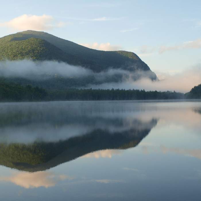Near The Traveler and South Branch Mountain Loop