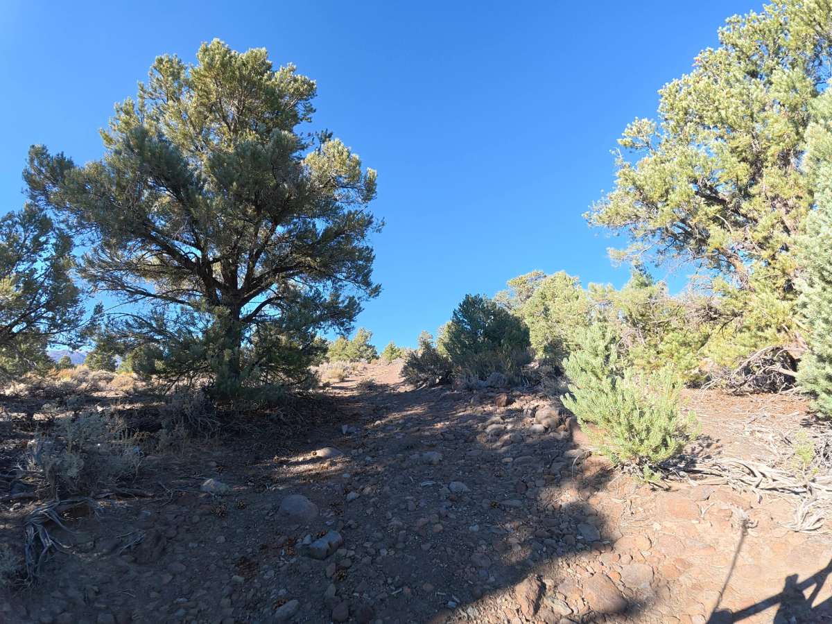 Loop Road K photo 5