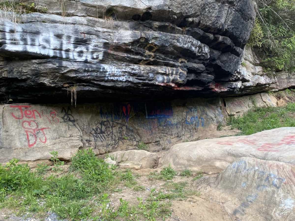 Nile Road to Gauley River photo 5