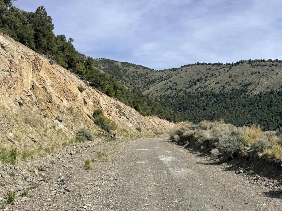 Dry Canyon South - FS 23004 photo 6