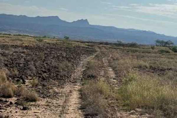 BLM SS1040