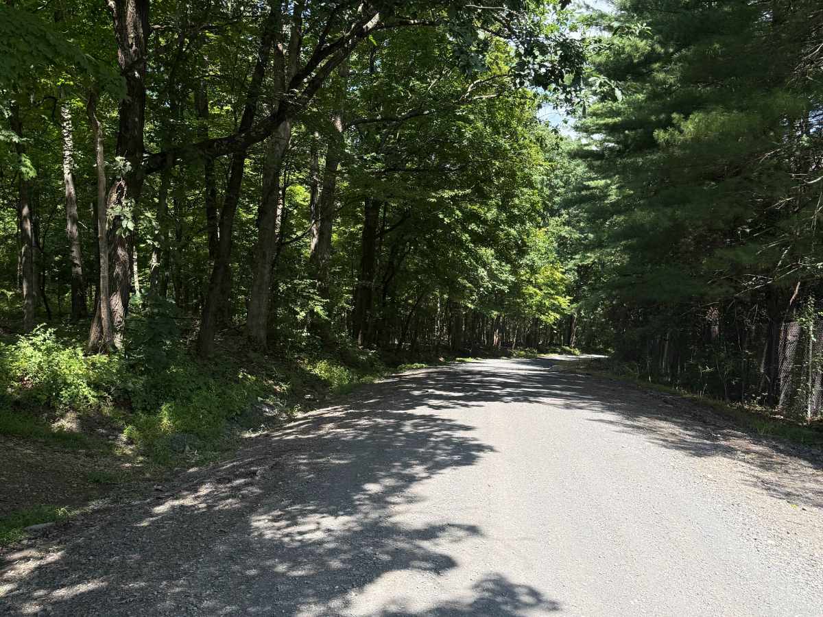 Quarry Road  photo 3
