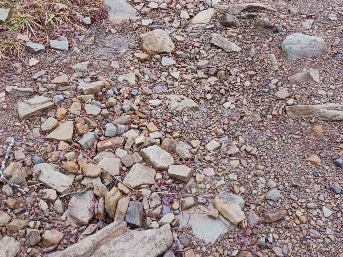 The Strip - Rock Run Recreation Area photo 2