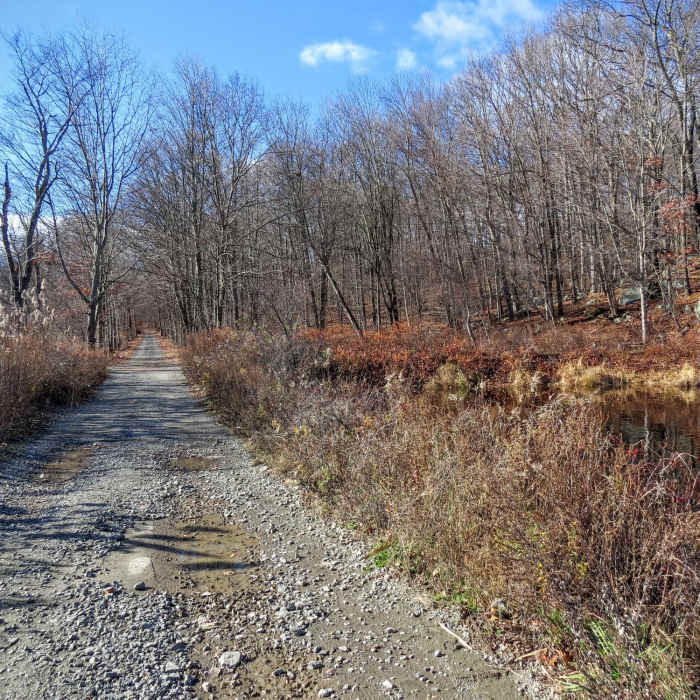 Part of the Yellow Trail intersects with this working road to a pump station just east of here. Near Yellow Trail