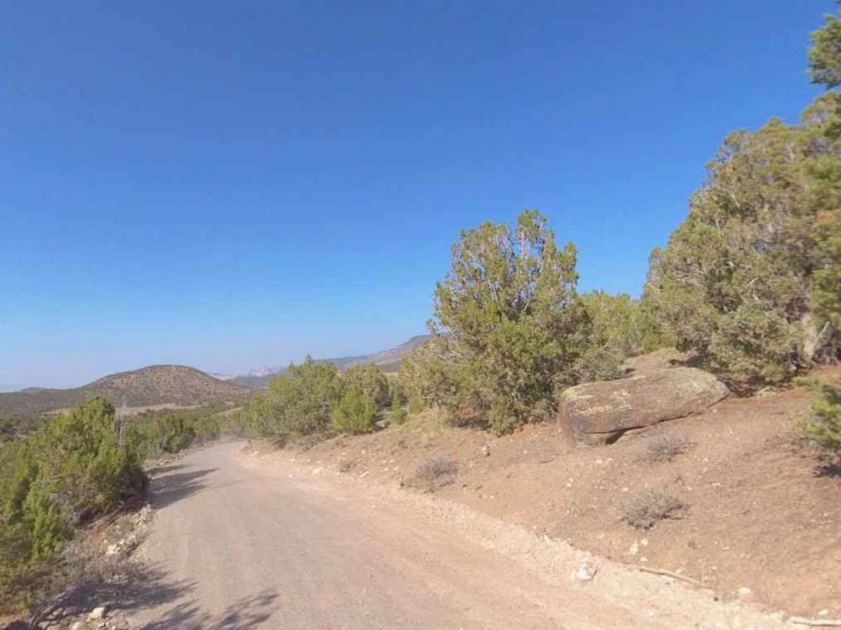 Bell Rock - PST40 photo 5