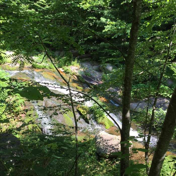 Near Graves Mill Trail