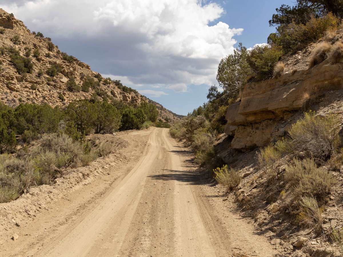 16 Road, Coal Gulch photo 5