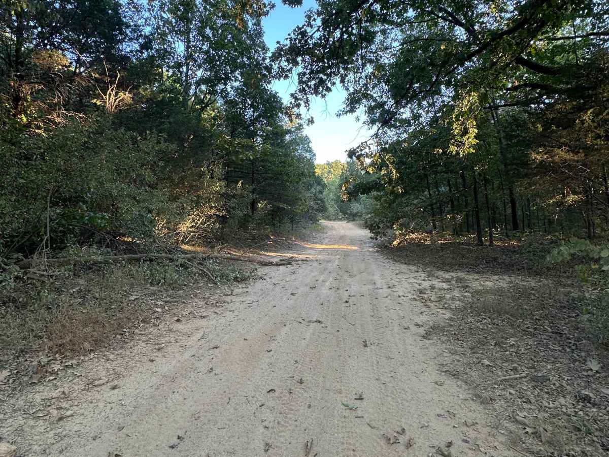 The Switchback photo 4