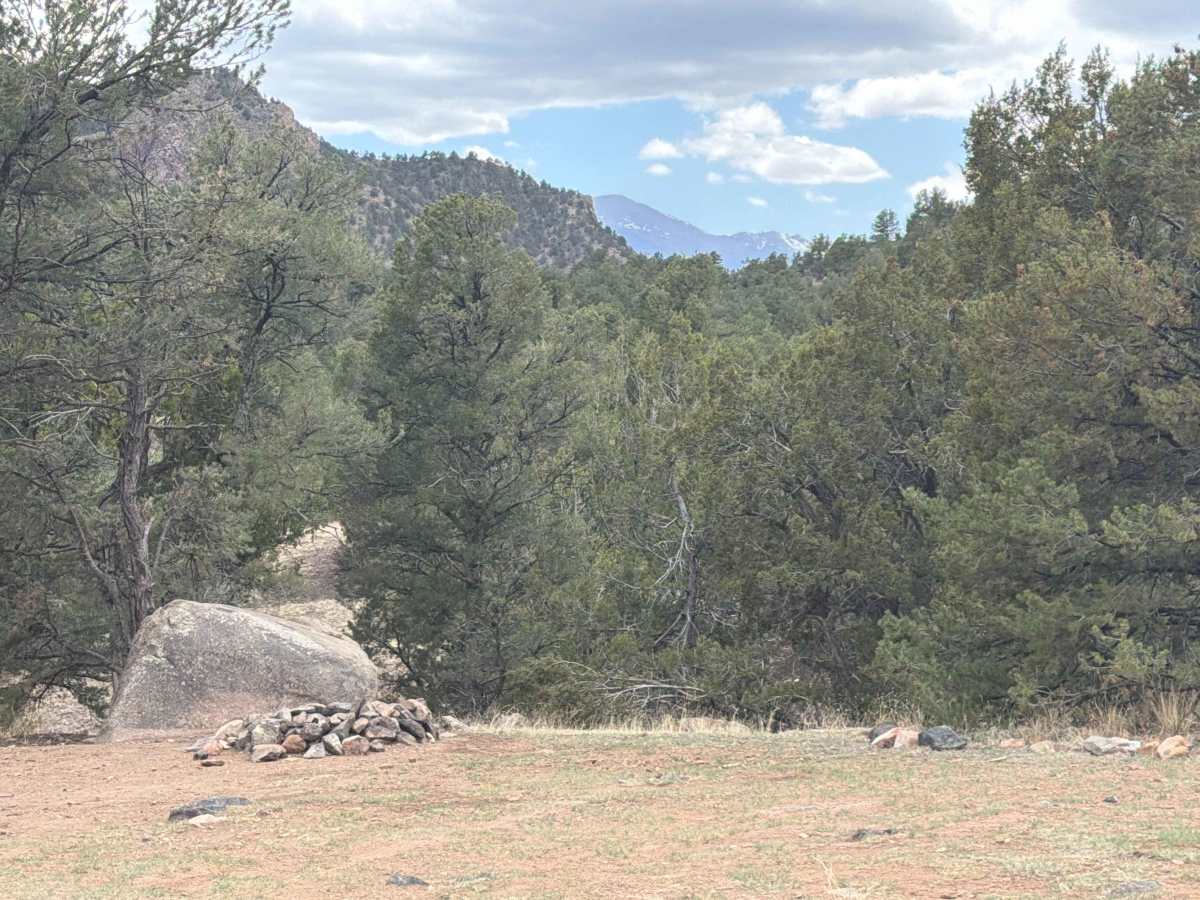 BLM 6021 photo 3