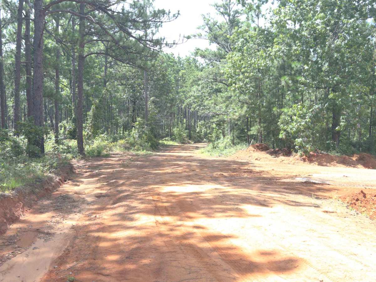Dixie Road - FS 421 photo 2