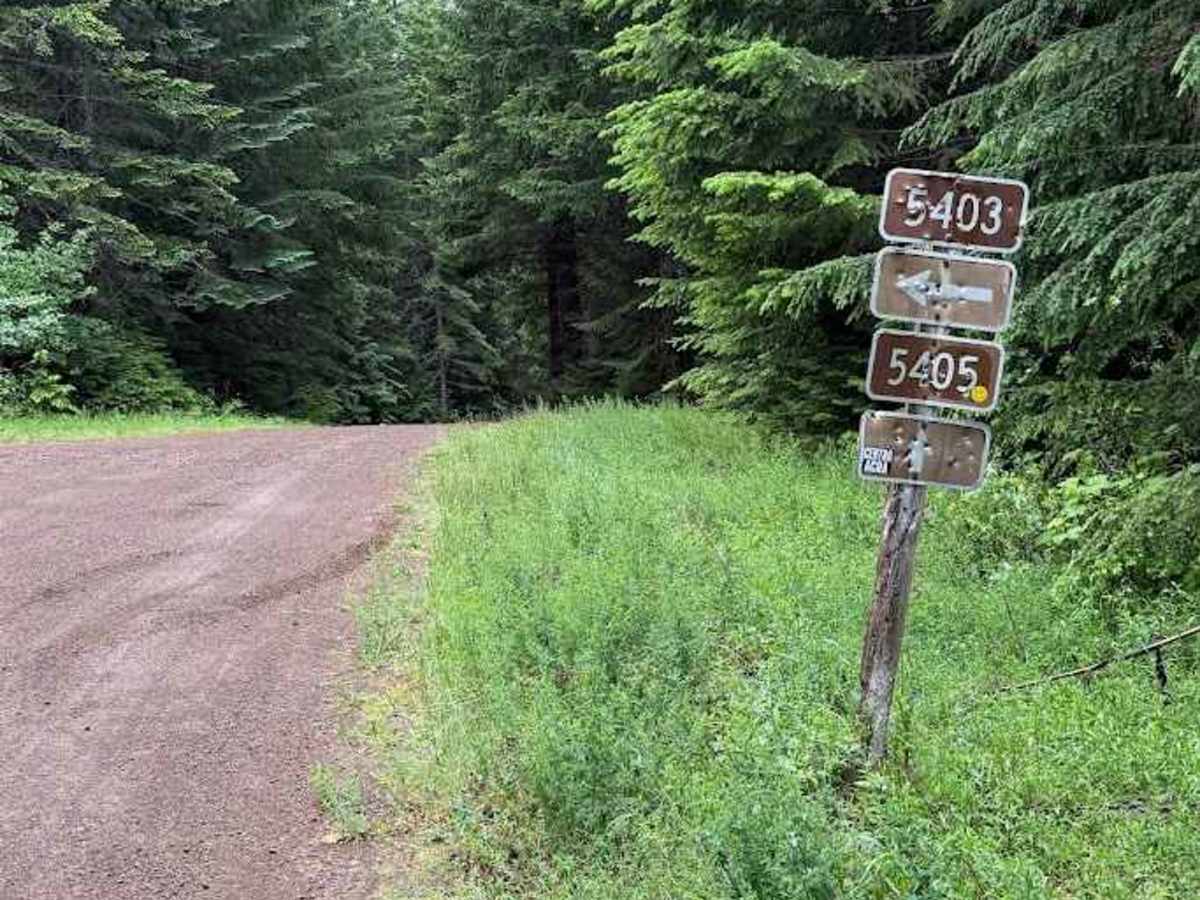 Lizard Lake Borup - FS 5403 trail photo