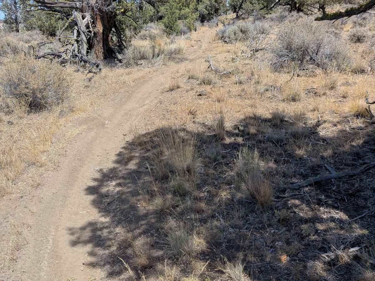 Cline Buttes OHV Trail 45 Loop photo 5