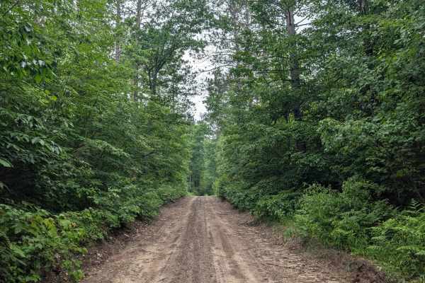 Tower Hill Truck Trail