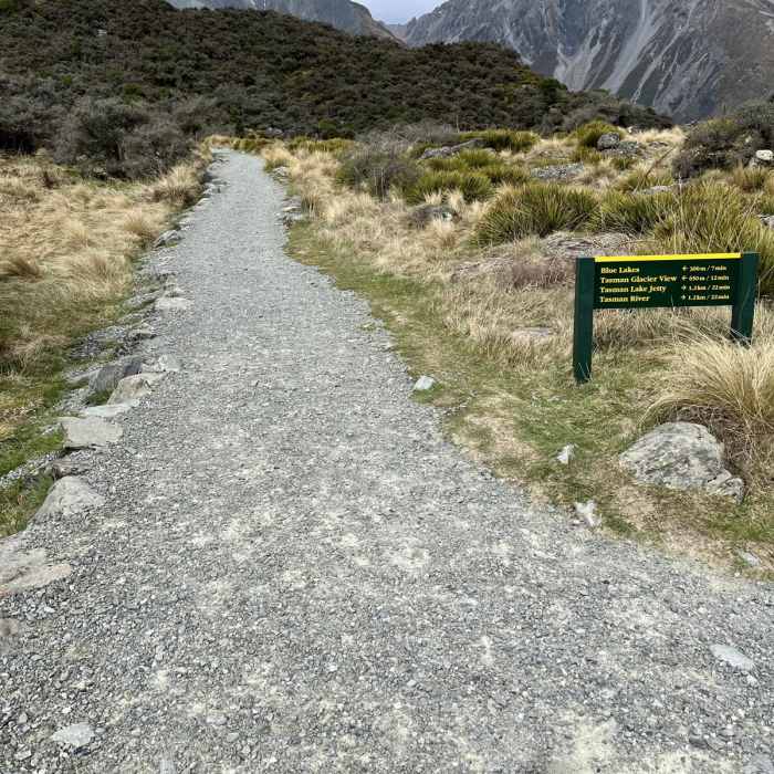 Near Tasman Lake Track Near Tasman Lake Track