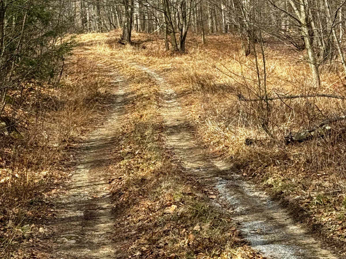Gas Road photo 5