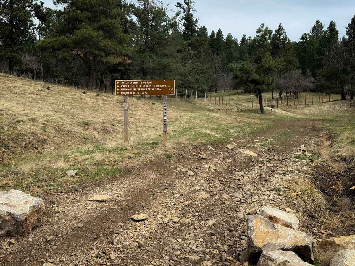 Taylor Canyon - FS 5007  trail photo