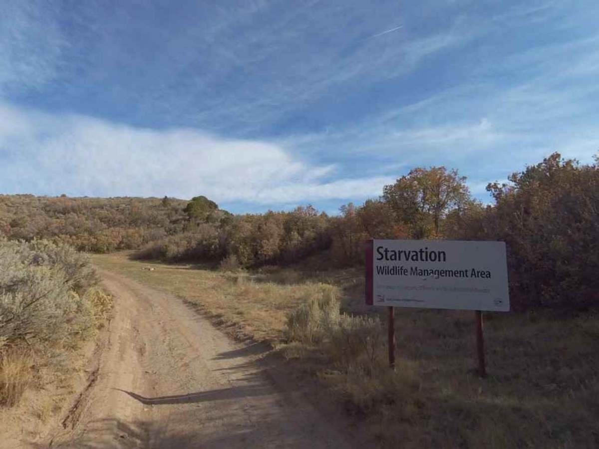Starvation WMA Poleline trail photo