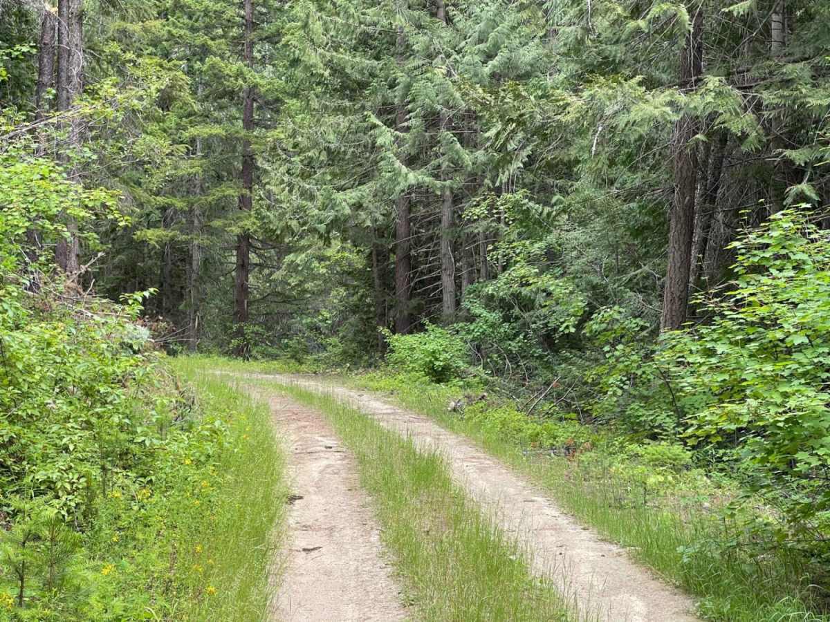 Rock Creek Tarkio photo 5