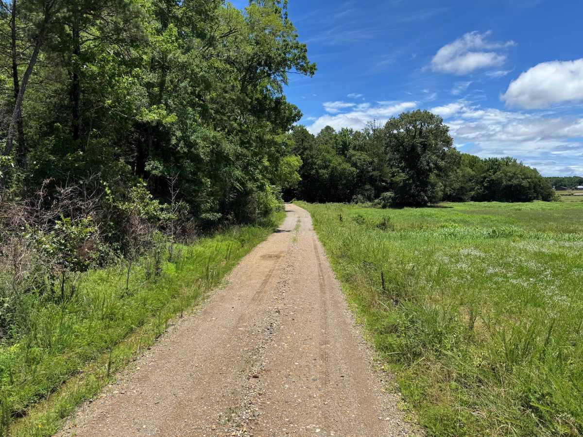 Mauldin trail photo
