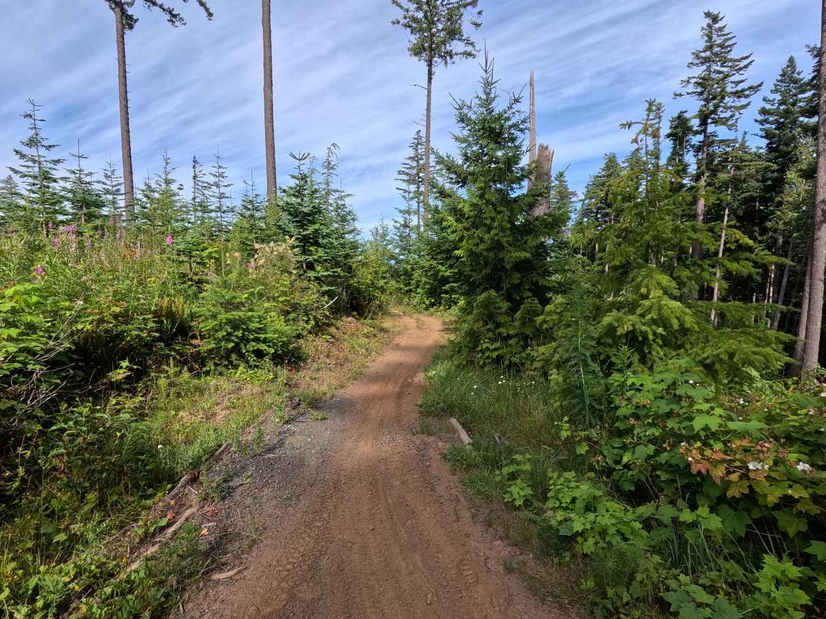 Water World trail photo