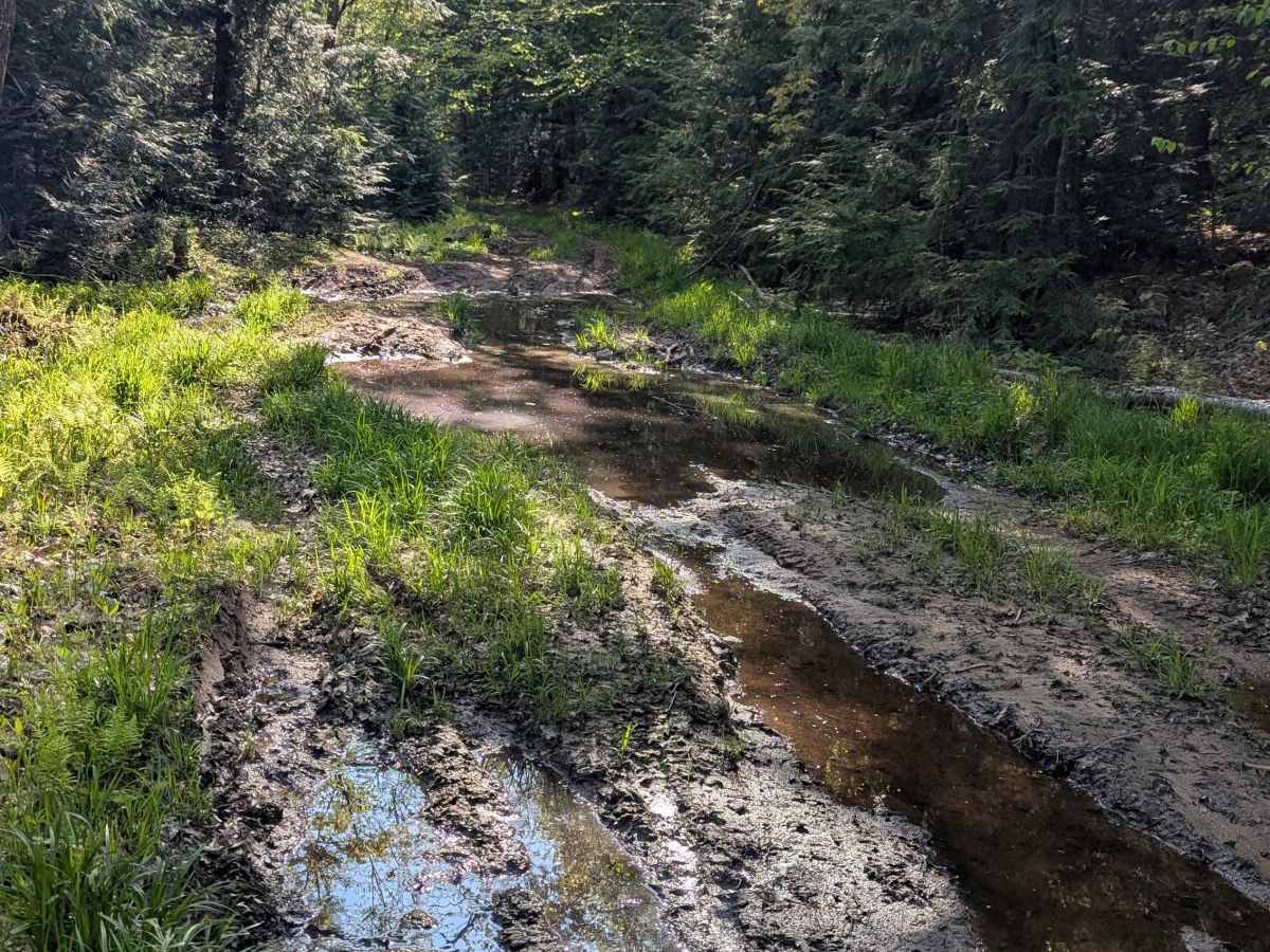 Wilson Truck Trail photo 6