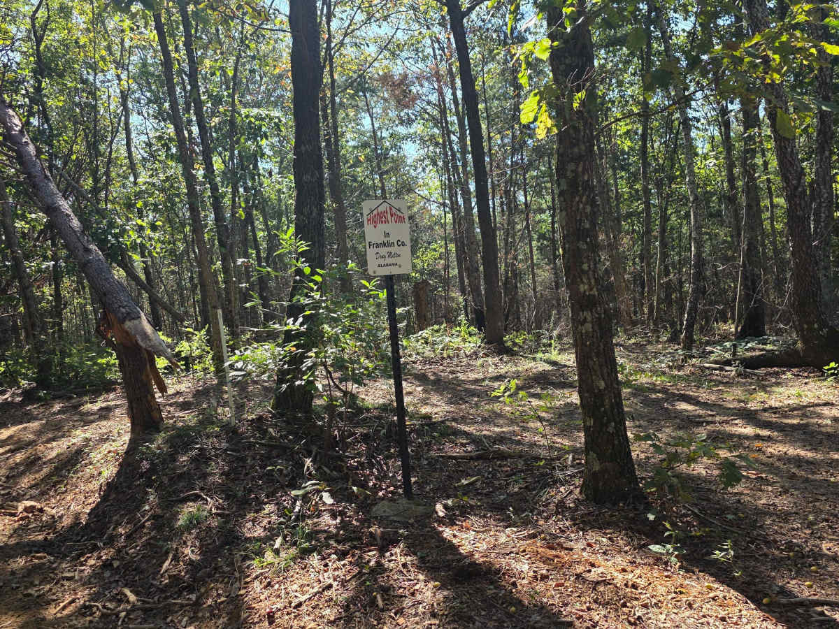 250 Acre Trail trail photo