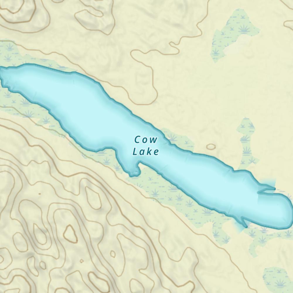 Cow Lake photo