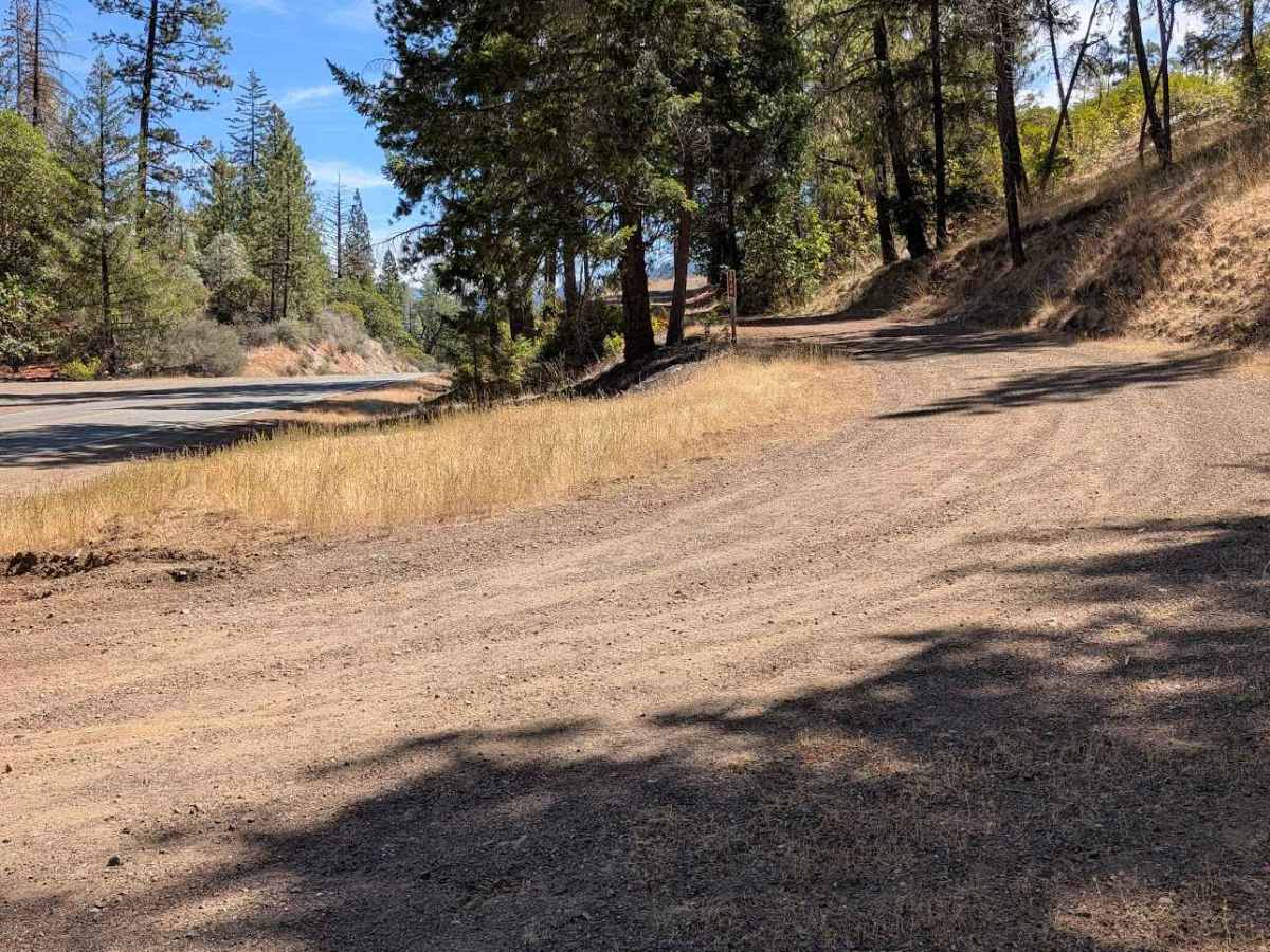 Camp Trinity Road - FS 3N20 trail photo
