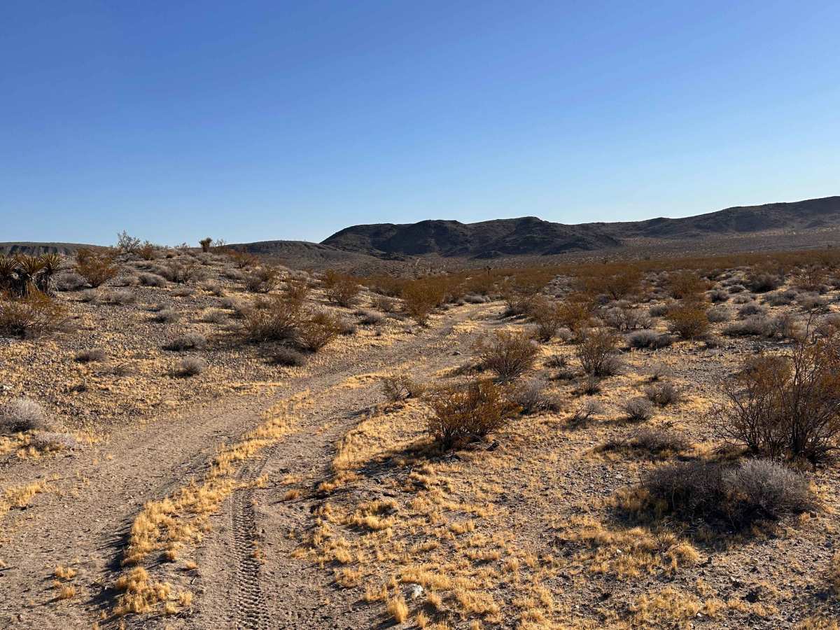 Rolling Stone Pass trail photo