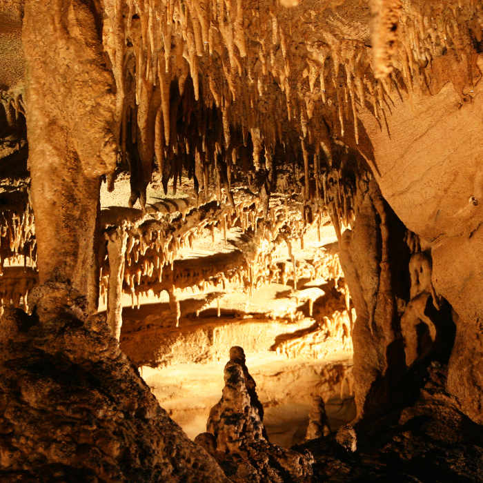 Stalactites and stalagmites make the Frozen Niagara tour a beautiful experience. Photo credit: NPS Photo. Near Mammoth Cave Railroad Trail