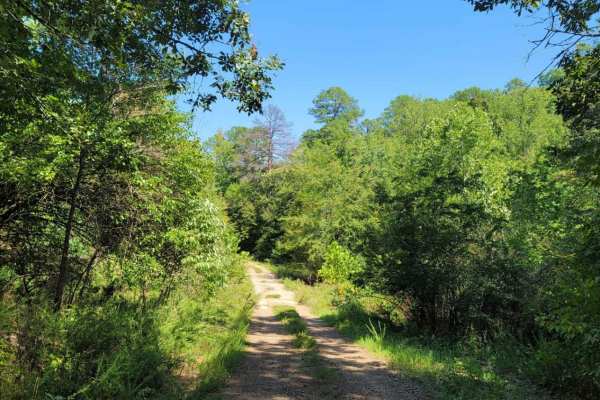 Wildcat Hollow