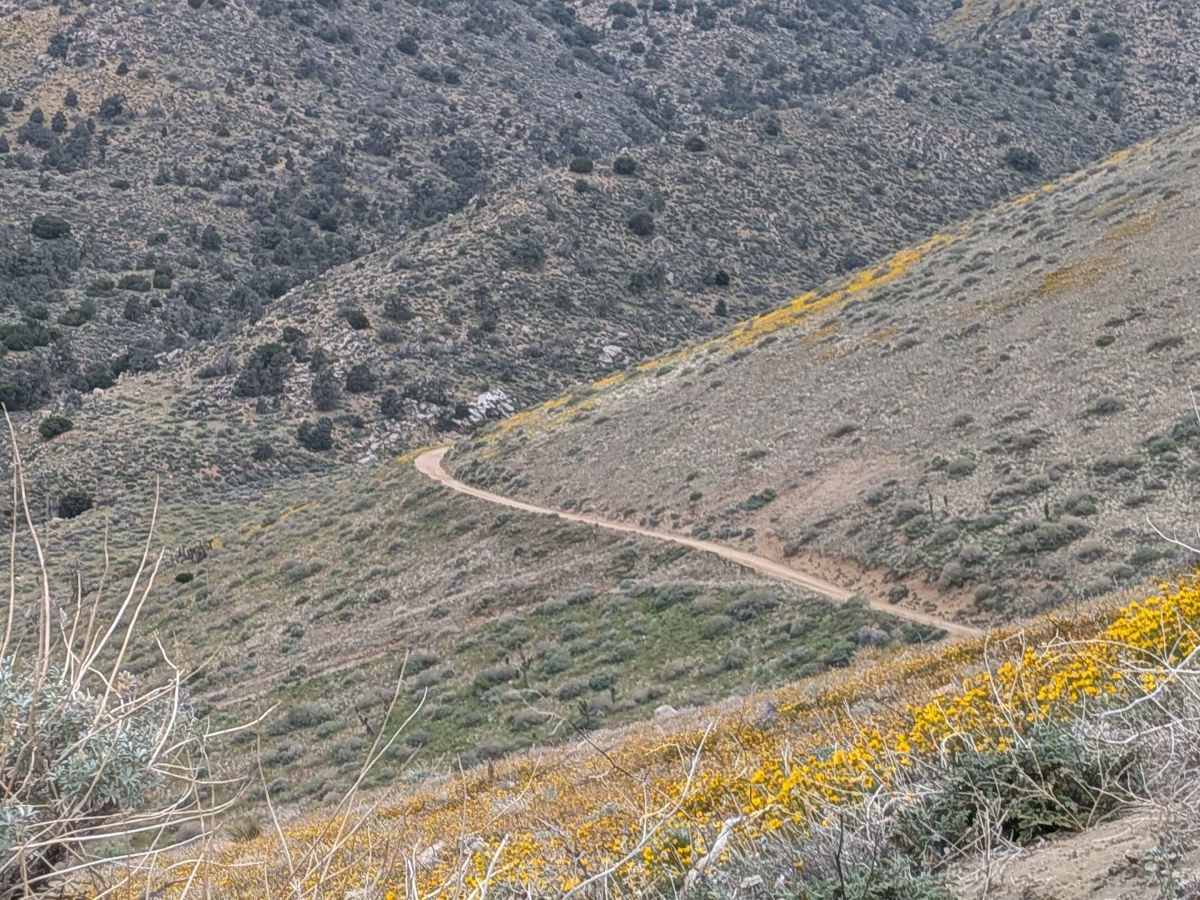 Horse Mountain - FS 27S11 photo 3