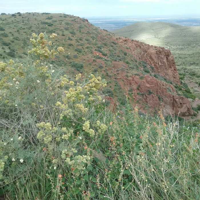 View of West Cottonwood Trail Near West Cottonwood Spring