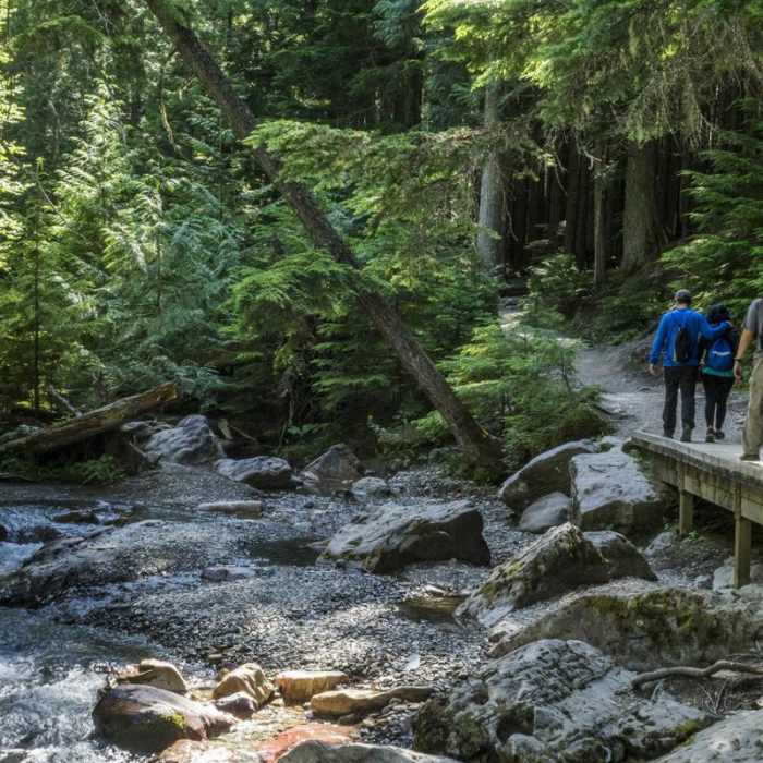 Near Avalanche Lake via Trail of the Cedars