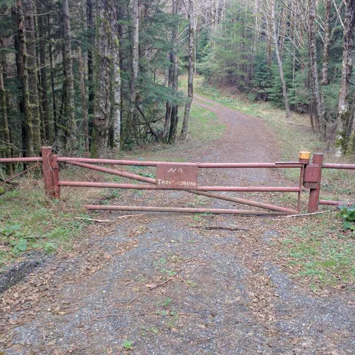 Near Tiger Mountain Road 5500