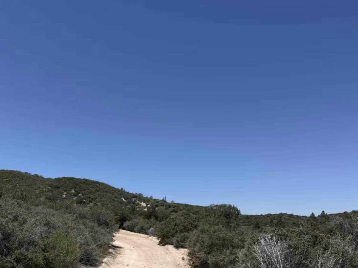 Rouse Ranch trail photo