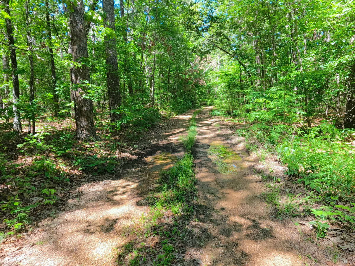 South Boundary - FS 3755 photo 4