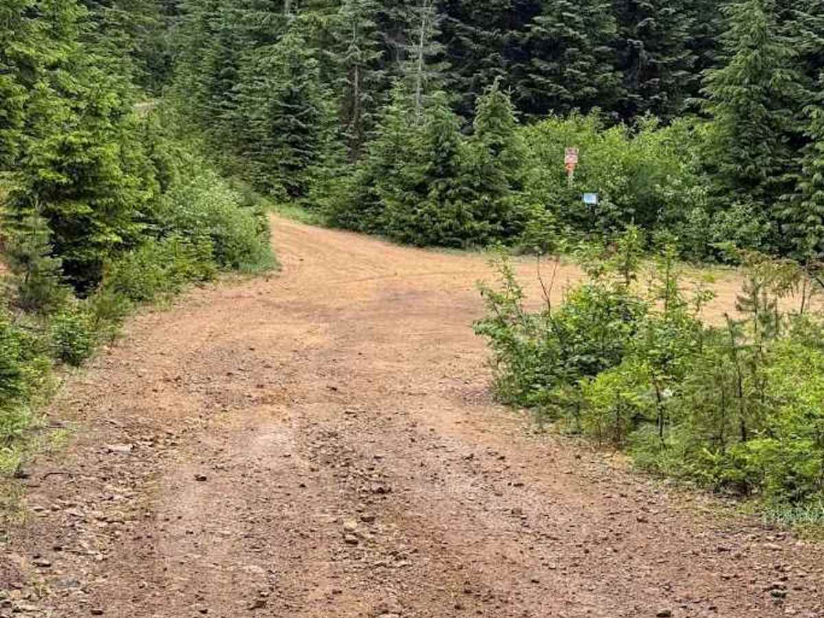 Dandy Creek - FS 5484 photo 6