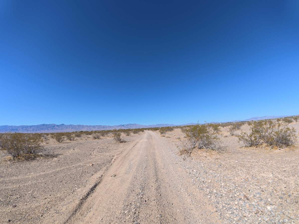 Indian West photo 4