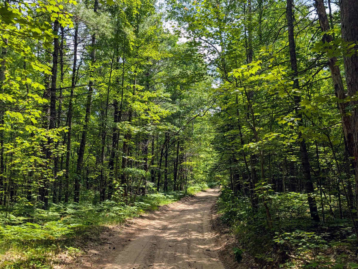 Black Lake Road photo 4