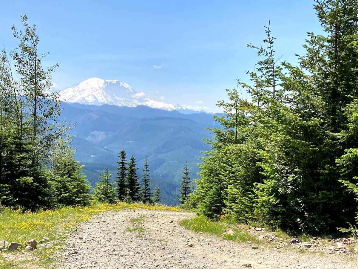 Stampede Pass - Crystal Springs to Greenwater trail photo