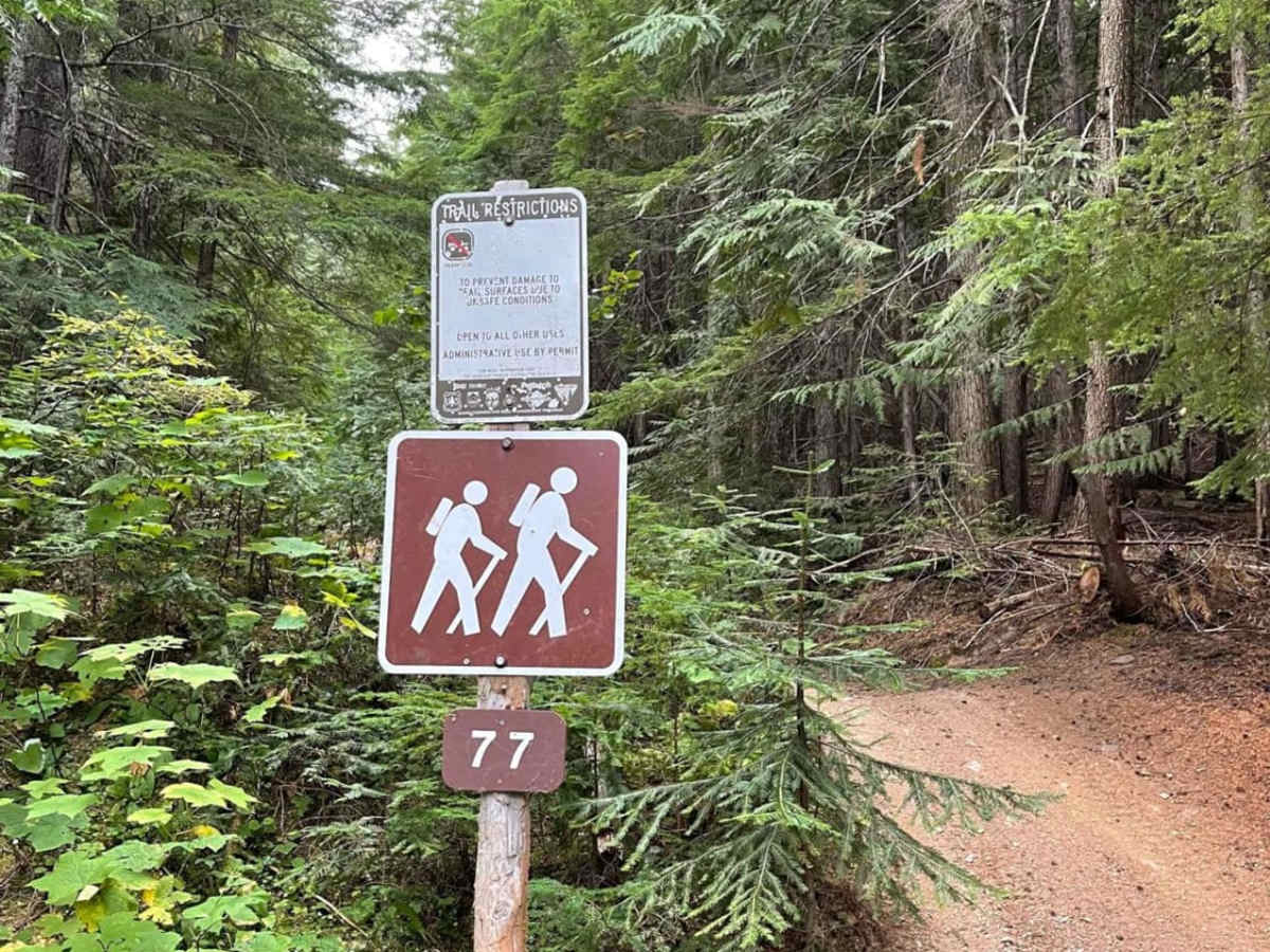 Twin Creek photo 6