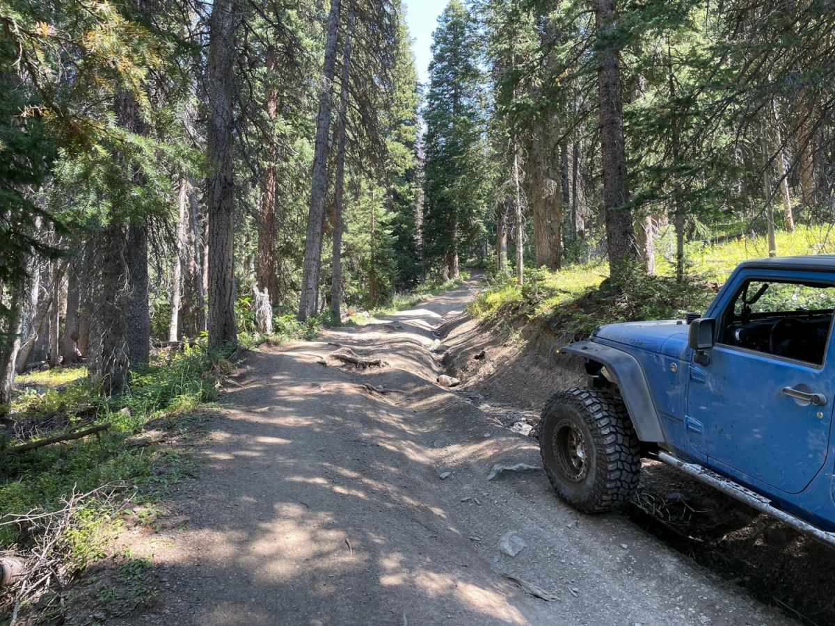 Sheep Mountain photo 5