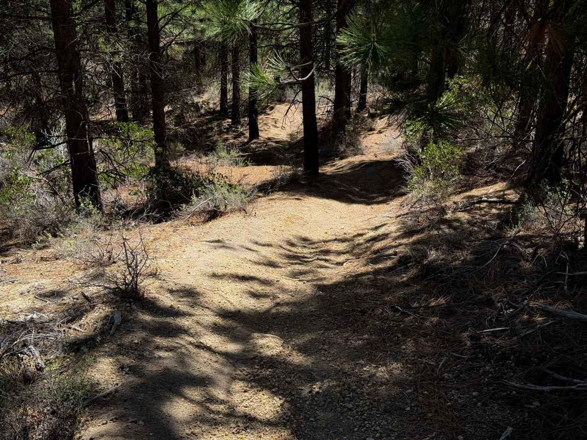 Trail 21  photo 4