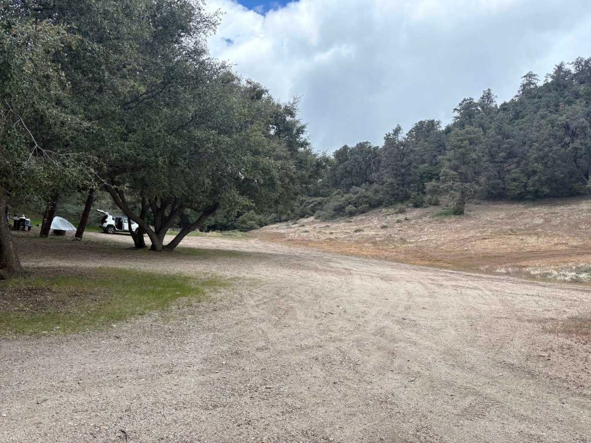 Camp Marion - FS 9N34 photo 6