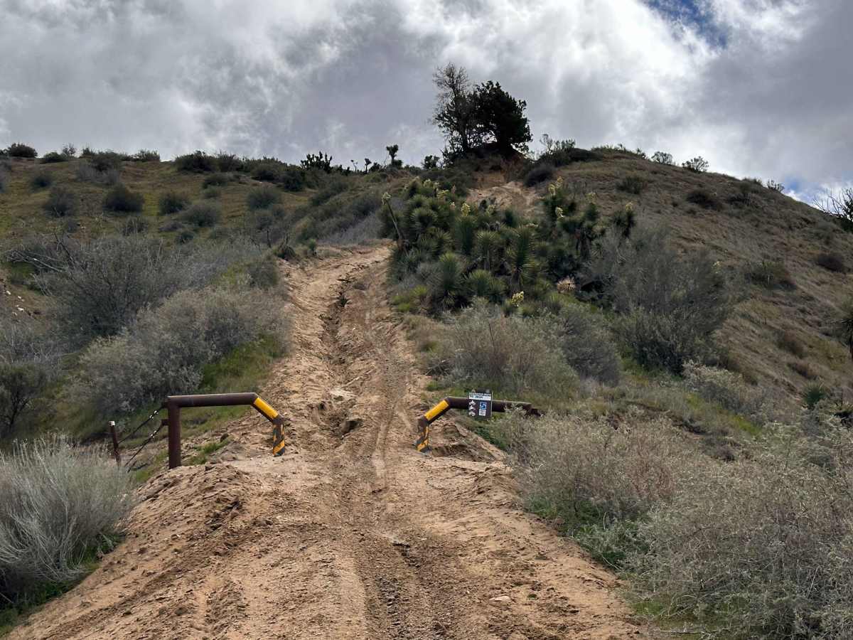 WLF Ridge trail photo